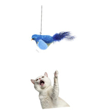 Load image into Gallery viewer, Hohopeti Cat Noise Toy Household Kitten Toy Portable Kitten Toy Portable Cat Teasing Toy Hanging Cat Toys Small Kitten Toy Interesting Cat Bird Toy Funny Toy The Cat Hanging Toys Pp
