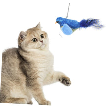 Load image into Gallery viewer, Hohopeti Cat Noise Toy Household Kitten Toy Portable Kitten Toy Portable Cat Teasing Toy Hanging Cat Toys Small Kitten Toy Interesting Cat Bird Toy Funny Toy The Cat Hanging Toys Pp