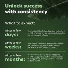 Load image into Gallery viewer, PacificCoast NutriLabs Reus Research NMN Supplement Alternative - Liposomal Nicotinamide Riboside w/Resveratrol & Quercetin - High Purity NAD Supplement for Anti-Aging, Energy, Focus - 80 Capsules