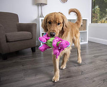 Load image into Gallery viewer, goDog Dragon With Chew Guard Technology Tough Plush Dog Toy, Pink, Large