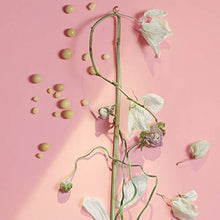 Load image into Gallery viewer, philosophy ultimate miracle worker - retinol serum facial roller, 0.5 oz