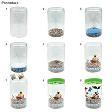 Load image into Gallery viewer, Waitahug Light up Terrarium Kit for Kids with LED Light on Lid - Stem Plant Educational Toys - DIY Your own Mini Garden in a Jar which Glows at Night - Stem Toys - Gardening Gifts for Kids Age 4-12