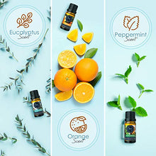 ギャラリービューアに画像を読み込み、Hearth & Harbor Premium Fragrance Oil � Set of 6 Scented Oil for Soap Making, Candle Making, Incense, Potpourri & Aroma Diffuser - Lemongrass, Peppermint, Orange, Lavender, Eucalyptus, Tea Tree Scents In 10ml Glass Amber Bottles