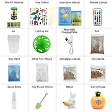 Load image into Gallery viewer, Waitahug Light up Terrarium Kit for Kids with LED Light on Lid - Stem Plant Educational Toys - DIY Your own Mini Garden in a Jar which Glows at Night - Stem Toys - Gardening Gifts for Kids Age 4-12