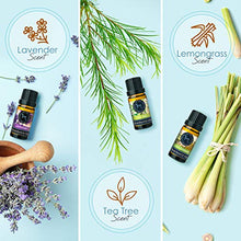 Load image into Gallery viewer, Hearth &amp; Harbor Premium Fragrance Oil � Set of 6 Scented Oil for Soap Making, Candle Making, Incense, Potpourri &amp; Aroma Diffuser - Lemongrass, Peppermint, Orange, Lavender, Eucalyptus, Tea Tree Scents In 10ml Glass Amber Bottles
