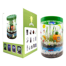 Load image into Gallery viewer, Waitahug Light up Terrarium Kit for Kids with LED Light on Lid - Stem Plant Educational Toys - DIY Your own Mini Garden in a Jar which Glows at Night - Stem Toys - Gardening Gifts for Kids Age 4-12