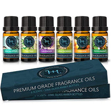 ギャラリービューアに画像を読み込み、Hearth & Harbor Premium Fragrance Oil � Set of 6 Scented Oil for Soap Making, Candle Making, Incense, Potpourri & Aroma Diffuser - Lemongrass, Peppermint, Orange, Lavender, Eucalyptus, Tea Tree Scents In 10ml Glass Amber Bottles