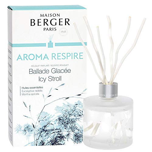 MAISON BERGER Reed Diffuser Bouquet - Aroma Collection - 6 Sticks - Prefilled with 180 milliliters Fragrance - Made in France (Aroma Respire)