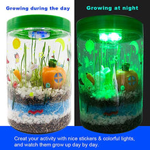Load image into Gallery viewer, Waitahug Light up Terrarium Kit for Kids with LED Light on Lid - Stem Plant Educational Toys - DIY Your own Mini Garden in a Jar which Glows at Night - Stem Toys - Gardening Gifts for Kids Age 4-12

